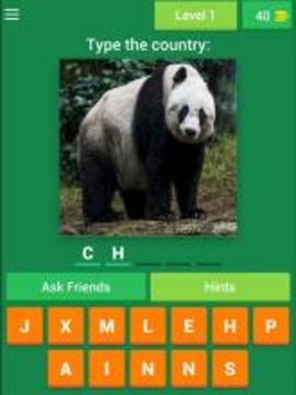 Animal Countries Quiz游戏截图5