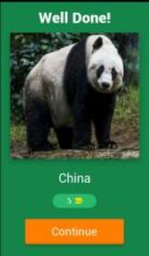 Animal Countries Quiz游戏截图2