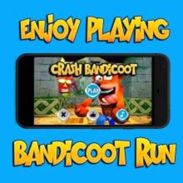 Bandicoot Run游戏截图1