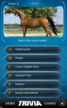 Name that Horse Breed Trivia游戏截图1