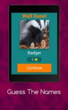 Guess The Names游戏截图3