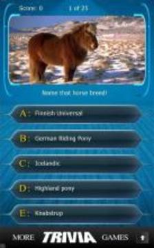 Name that Horse Breed Trivia游戏截图4