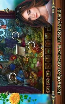 Hidden Object Games 100 Levels : Castle Mystery游戏截图5