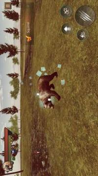 Angry Bear Simulator 3D - Be a Bear Game游戏截图2