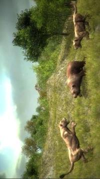 Angry Bear Simulator 3D - Be a Bear Game游戏截图5