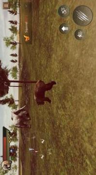 Angry Bear Simulator 3D - Be a Bear Game游戏截图1