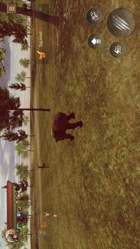 Angry Bear Simulator 3D - Be a Bear Game游戏截图4