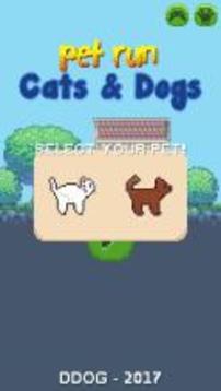 Pet Run: Cats & Dogs游戏截图1