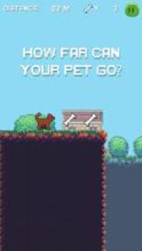Pet Run: Cats & Dogs游戏截图3