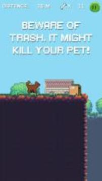 Pet Run: Cats & Dogs游戏截图4