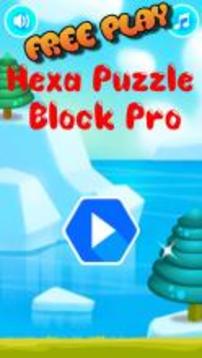 Hexa Puzzle Block Pro游戏截图1