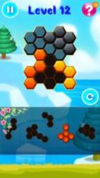 Hexa Puzzle Block Pro游戏截图2