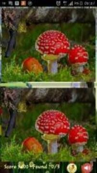 Smart Differences游戏截图3