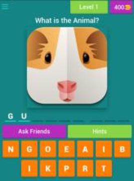Quiz for Animal Crossing游戏截图4