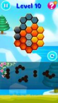 Hexa Puzzle Block Pro游戏截图4