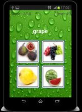 Fruits Name Quiz !游戏截图2