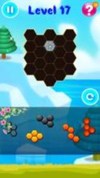 Hexa Puzzle Block Pro游戏截图3