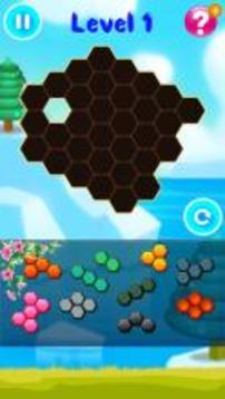 Hexa Puzzle Block Pro游戏截图5