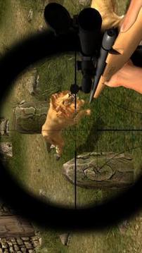 Animal Hunting : Lion Sniper Hunter游戏截图2