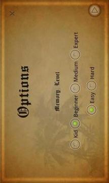Memory Champ游戏截图5