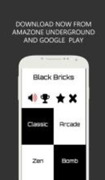 Black Bricks游戏截图4