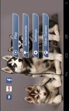 Find a Dog - Hidden Object游戏截图2