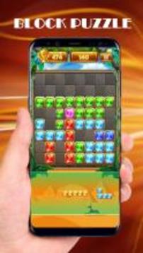 Puzzle Block Jewels Legend 2018游戏截图3