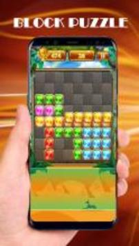 Puzzle Block Jewels Legend 2018游戏截图5