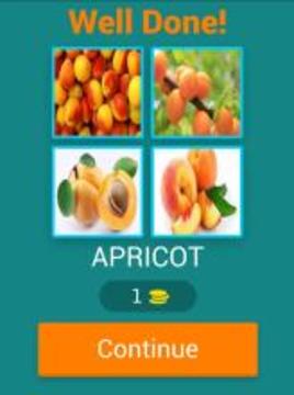 Name The Fruit - Kids Funny Game游戏截图5