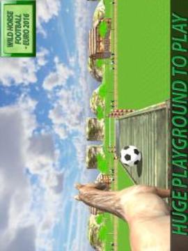 Wild Horse Football Simulator游戏截图5