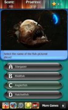 Deep Sea & Ocean Fish Quiz HD游戏截图1