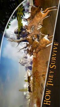 Deer Hunter Safari – African Wild Hunt游戏截图4