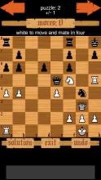 Chess Puzzles游戏截图1