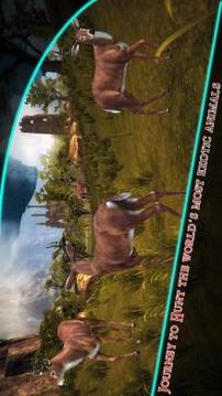 Deer Hunter Safari – African Wild Hunt游戏截图3