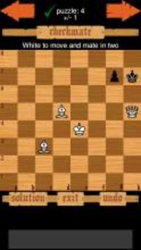 Chess Puzzles游戏截图4