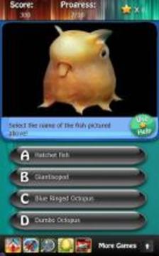 Deep Sea & Ocean Fish Quiz HD游戏截图2