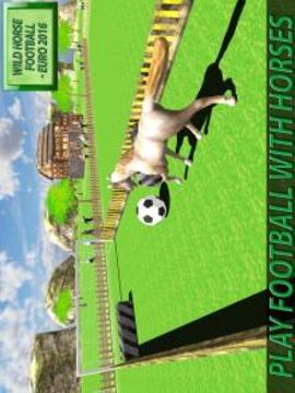 Wild Horse Football Simulator游戏截图3