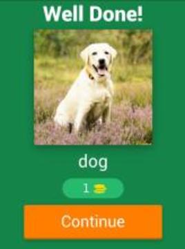 Kids Spelling Quiz - Animals and Birds游戏截图2