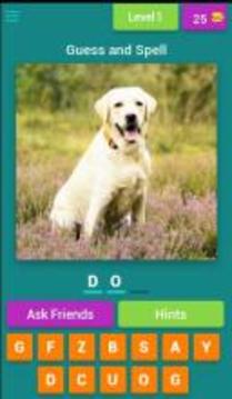 Kids Spelling Quiz - Animals and Birds游戏截图1