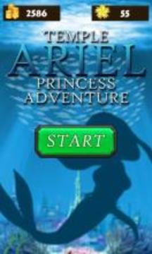 Temple Ariel: Princess Adventure游戏截图4
