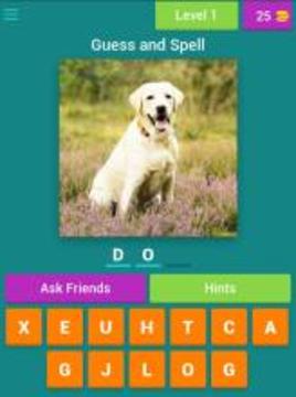 Kids Spelling Quiz - Animals and Birds游戏截图3