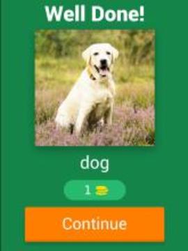 Kids Spelling Quiz - Animals and Birds游戏截图5