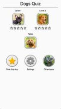 Dogs Quiz - Guess Popular Dog Breeds on the Photos游戏截图3