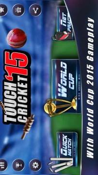 Touch Cricket T20 League 2015游戏截图1