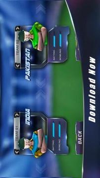 Touch Cricket T20 League 2015游戏截图3