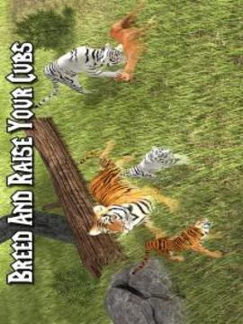 Wild Life Tiger Simulator 2016游戏截图4