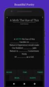 Fill In The Blanks-Poetry & Short Stories游戏截图2