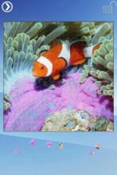 Sea Life Jigsaw Puzzles游戏截图3