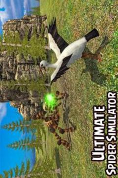 Spider Simulator: Life of Spider游戏截图5