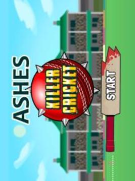 Ashes Killer Cricket游戏截图2